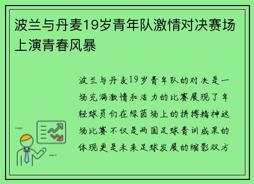 波兰与丹麦19岁青年队激情对决赛场上演青春风暴